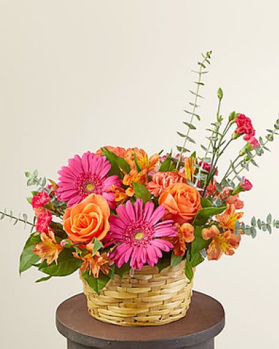 <h5>Celebrate spring with our Sweet Treat Bouquet that arrives in an adorable basket ready for the spotlight. Designed with hot pink gerbera daisies and mini carnations to brighten any room, occasion or event, it's the sweetest treat you could send to a loved one.</h5>
<ul>
<li>Our florists hand-design each arrangement, so colors, varieties and containers may vary due to local availability</li>
</ul>