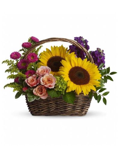 Send this colorful gift basket of flowers to your favorite garden lover or flower-loving grandmother. Like a miniature summer garden, the fresh cut flowers will brighten her kitchen counter, bedside table, coffee table...any of her favorite places!
Large yellow sunflowers, peach roses, purple stock, miniature green hydrangea, and hot pink matsumoto asters are presented in a rectangular handled basket.
Greens include solidago, huckleberry and variegated pittosporum.
<ul>
<li>Our florists hand-design each arrangement, so colors, varieties and containers may vary due to local availability</li>
</ul>